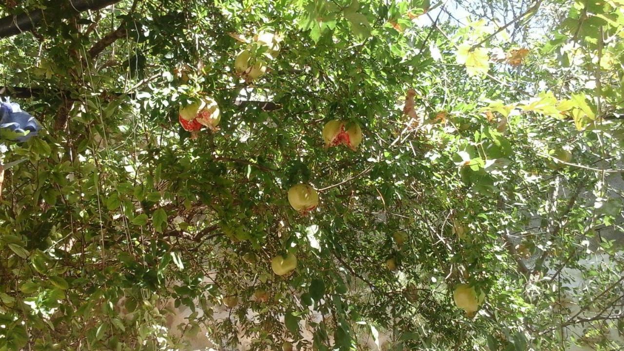 فندق Beytsami Tasev ماردين المظهر الخارجي الصورة